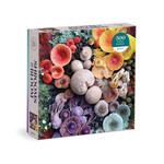 Shrooms in Bloom Puzzle