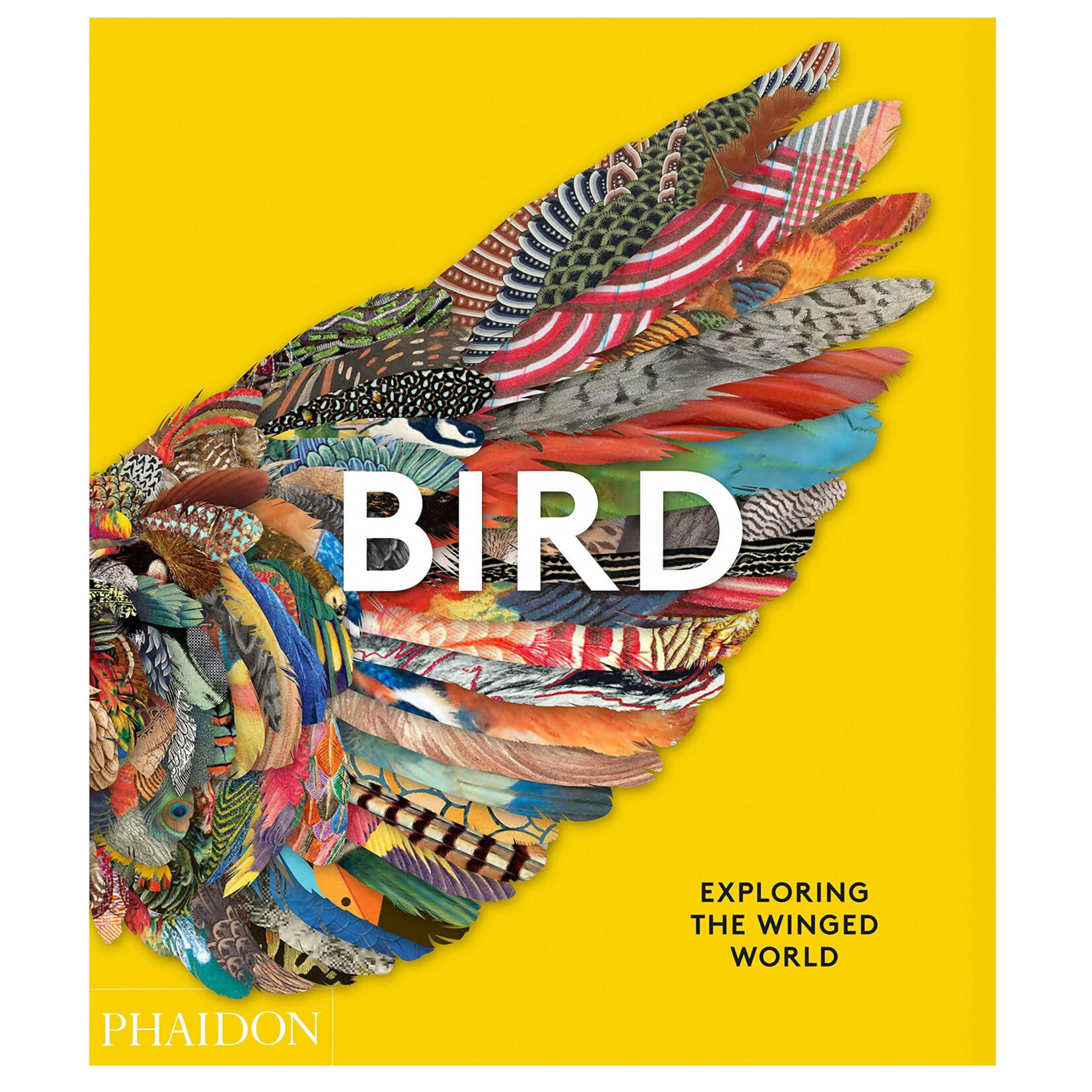 Phaidon Bird: Exploring the Winged World