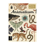 Animalium: Welcome to the Museum