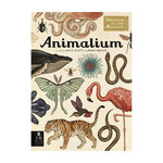 Welcome to the Museum: Animalium