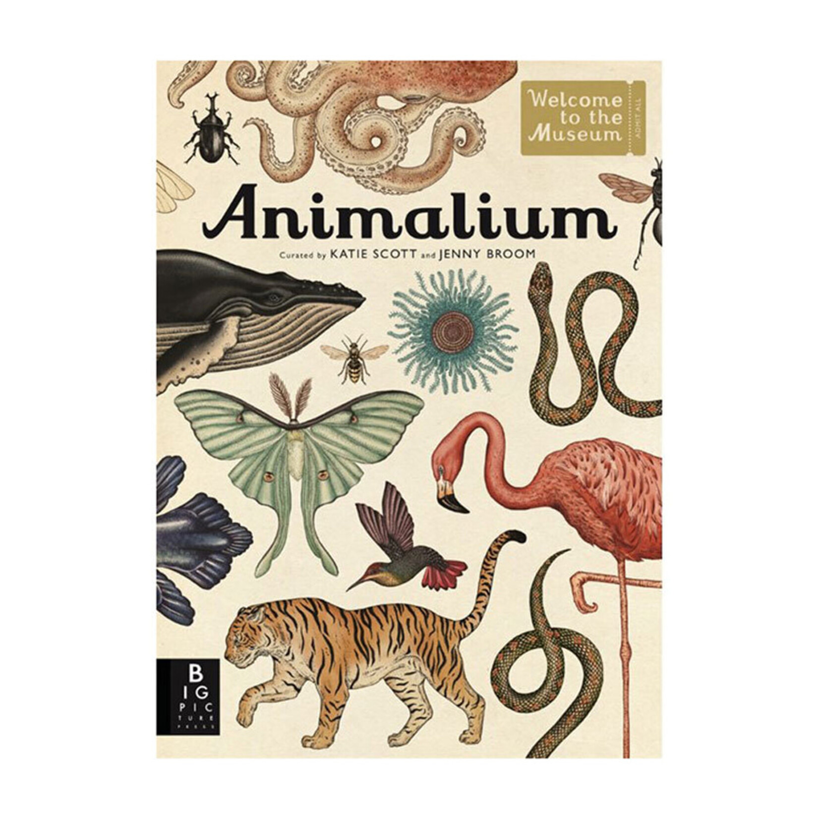 Animalium: Welcome to the Museum