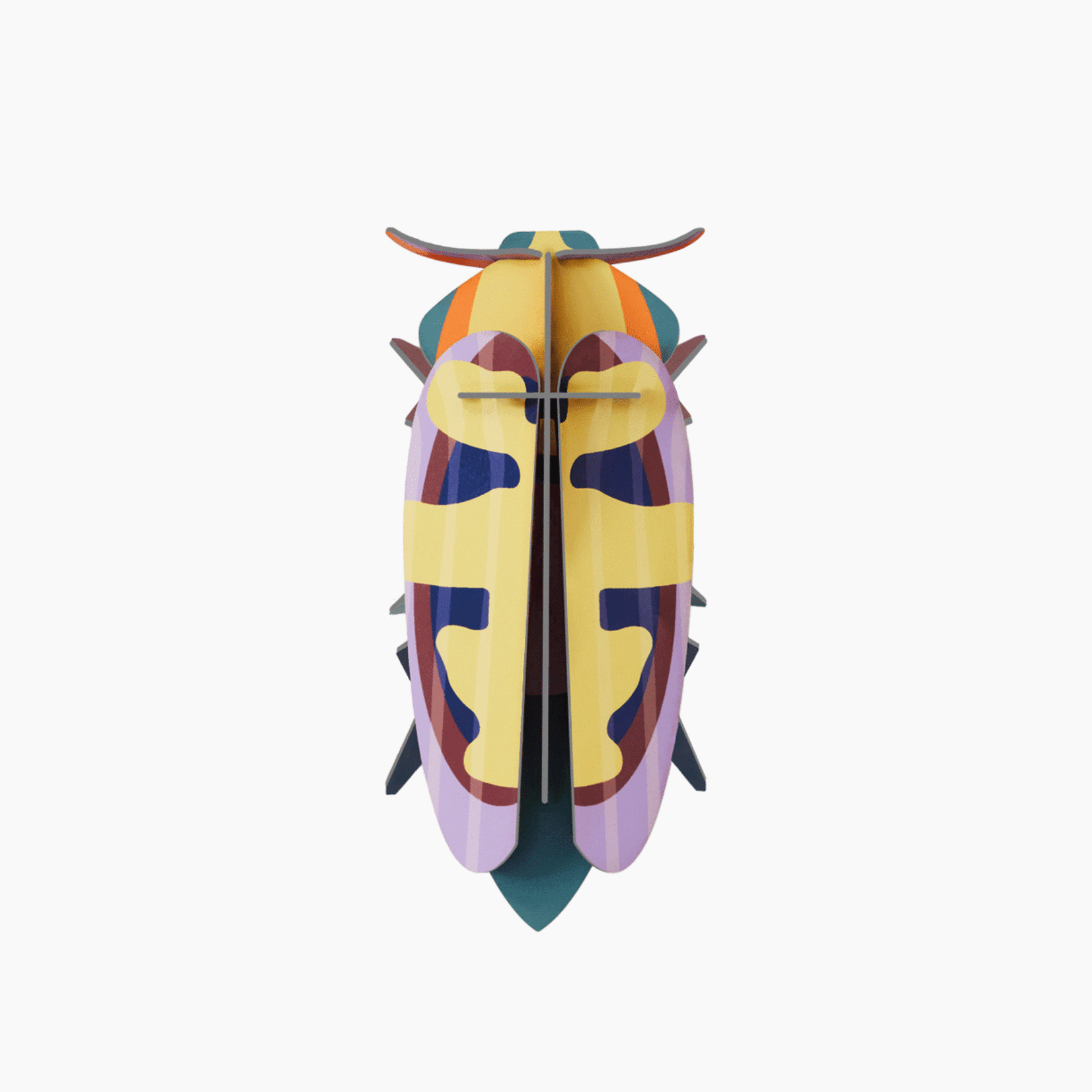 Studio Roof Studio Roof Small Insects - Mango Flower Beetle