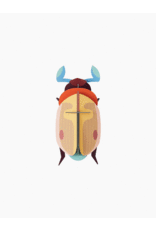 Small Insects - Lemon Fruit Beetle