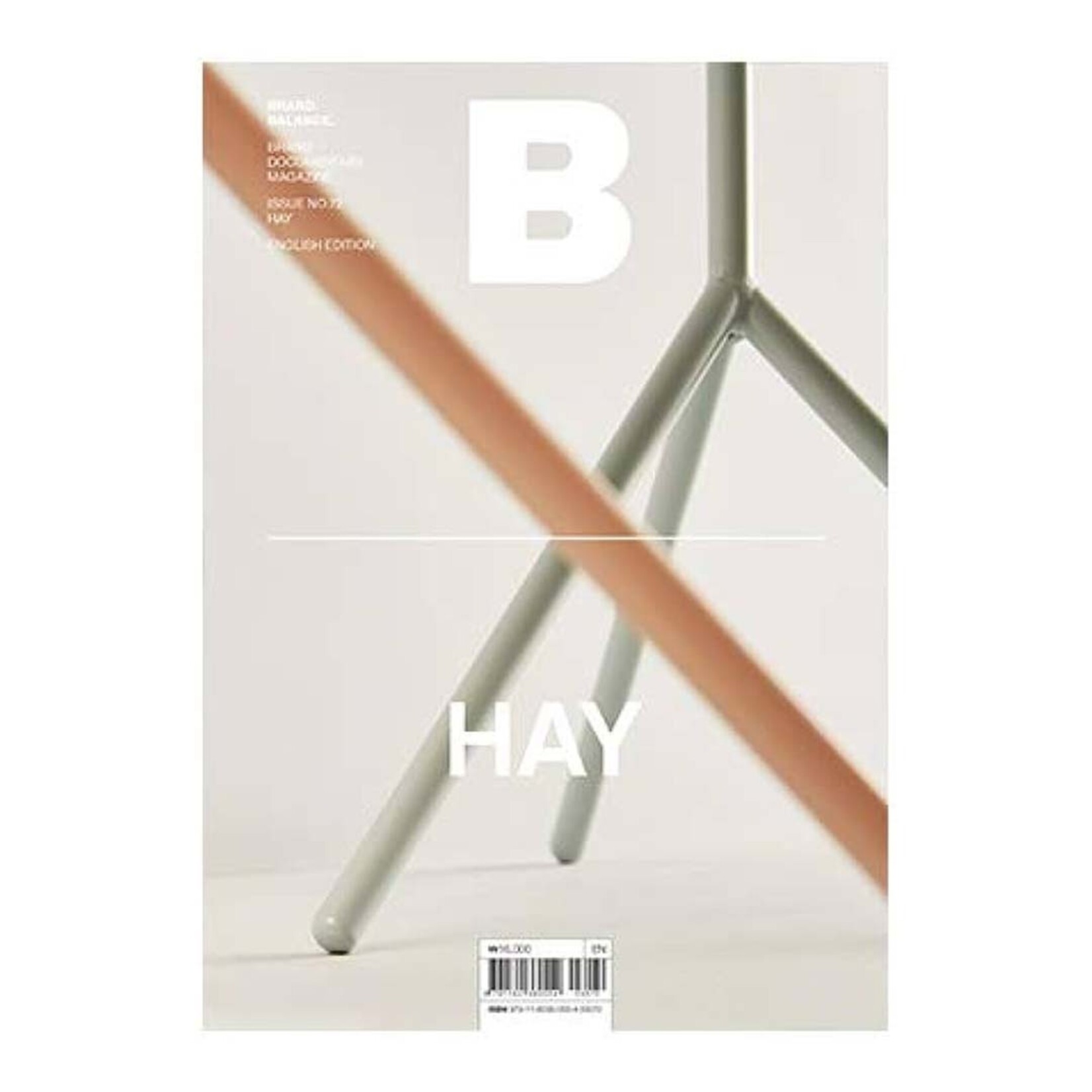 Magazine B Magazine B No. 72 - HAY