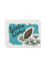 Pine Cones holiday greeting card, boxed set