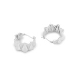 hk+np hk+np Zigzag Earrings - Matte Finish