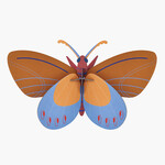 Studio Roof Studio Roof Big Insects - Ochre Costa Butterfly
