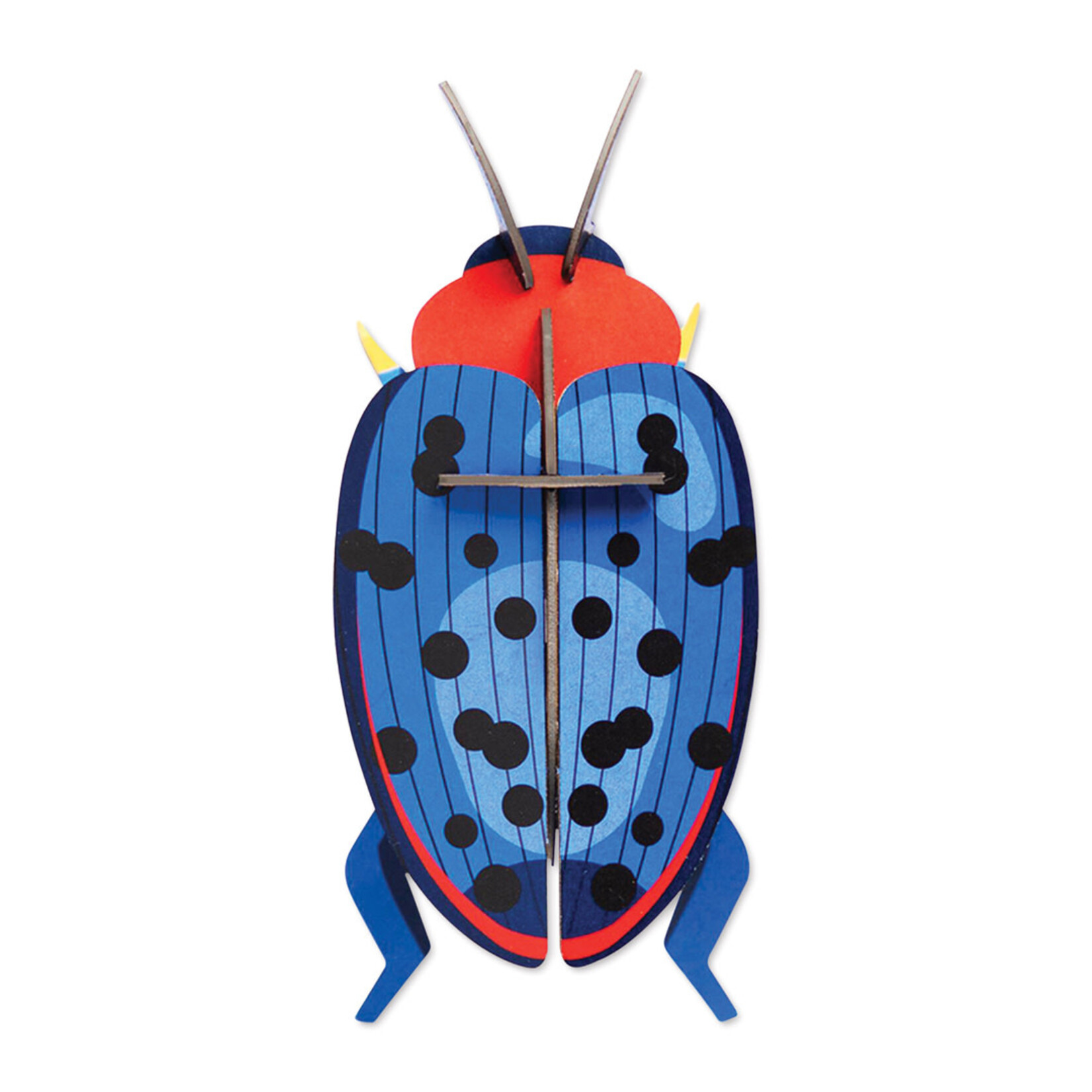 Studio Roof Studio Roof Small Insects - Fungus Beetle