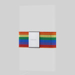 Secrid Secrid Moneyband, Rainbow