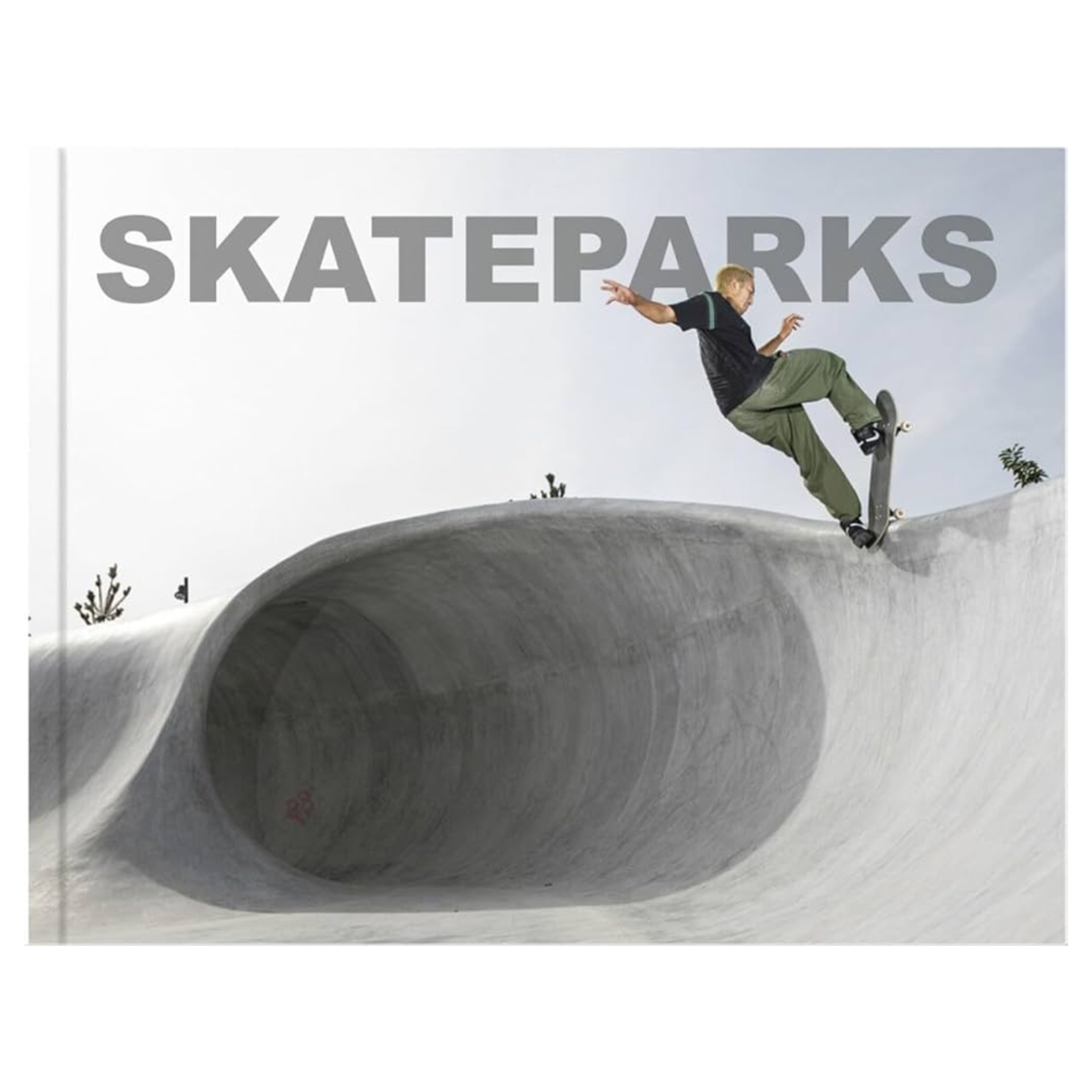 Booq Publishing Skateparks : Architecture on the Edge of Paradise
