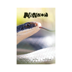 Minnow Magazine Issue 1 - Summer/Fall 2024
