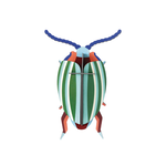 Studio Roof Studio Roof Small Insects - Rainbow Leaf Beetle