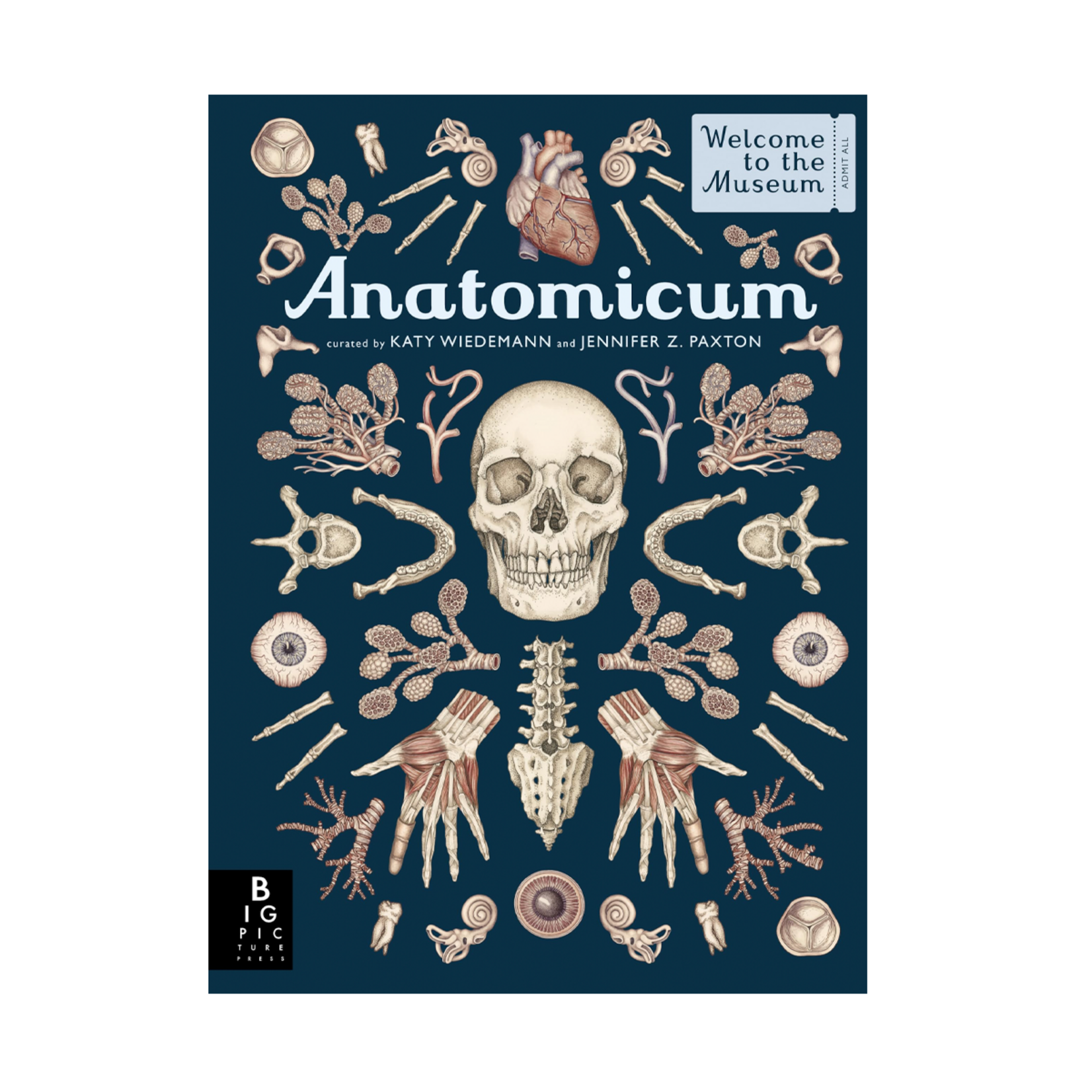 Anatomicum: Welcome to the Museum
