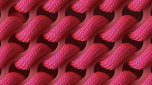 2026 DesignTO Festival Installation at Swipe