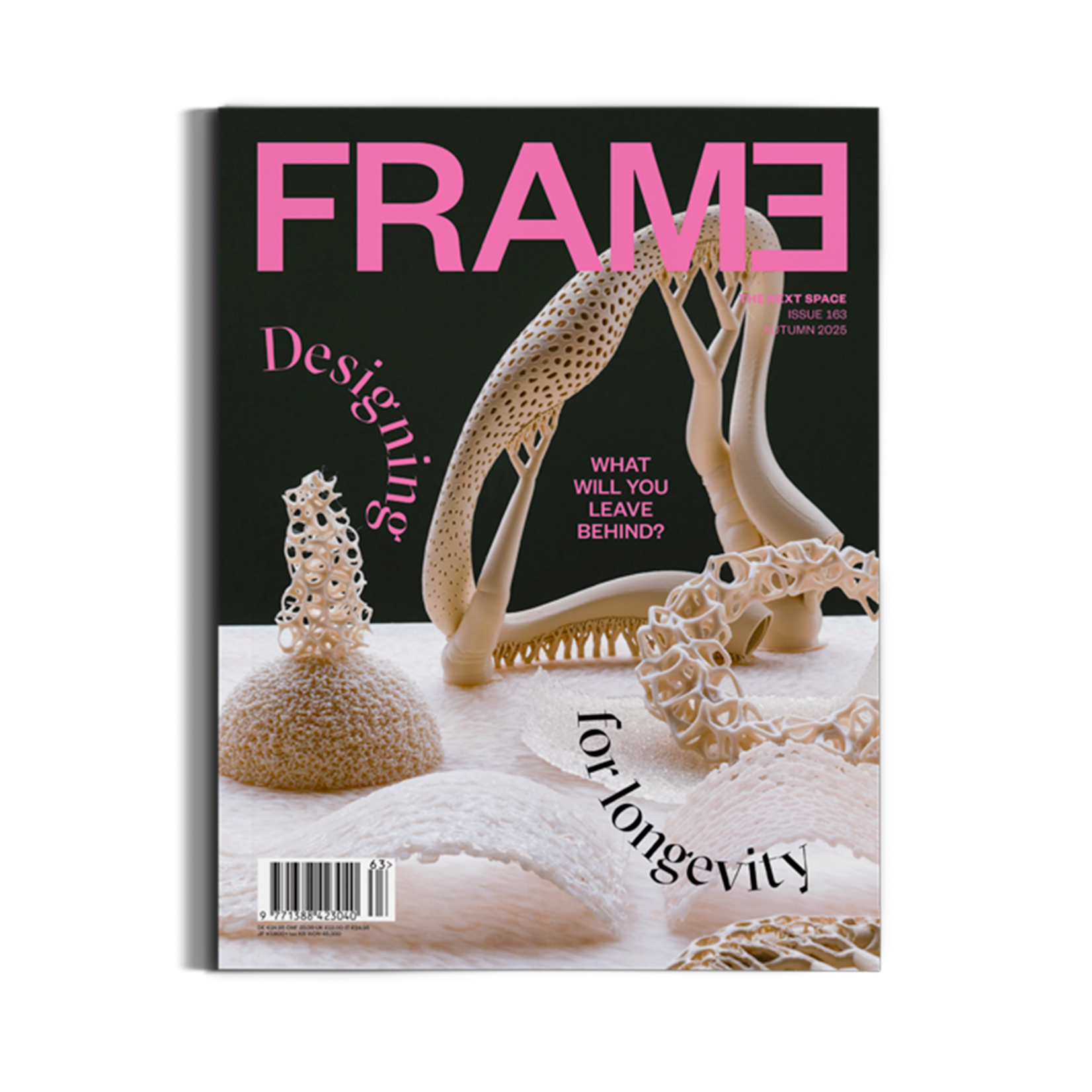 Frame Magazine FRAME UK, Issue 163 (Autumn 2025)