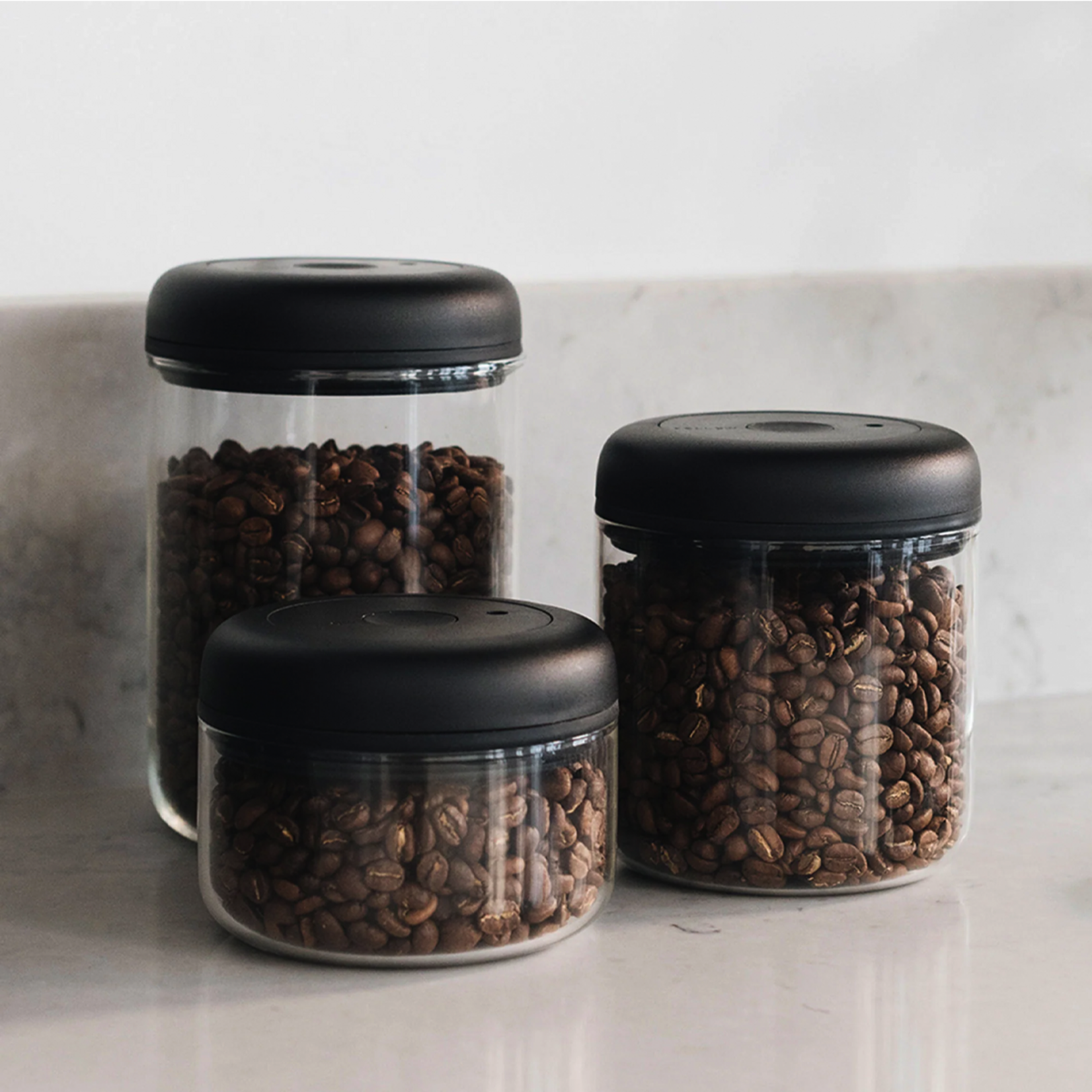 FELLOW FELLOW Atmos Vacuum Canister (0.4L) - Clear