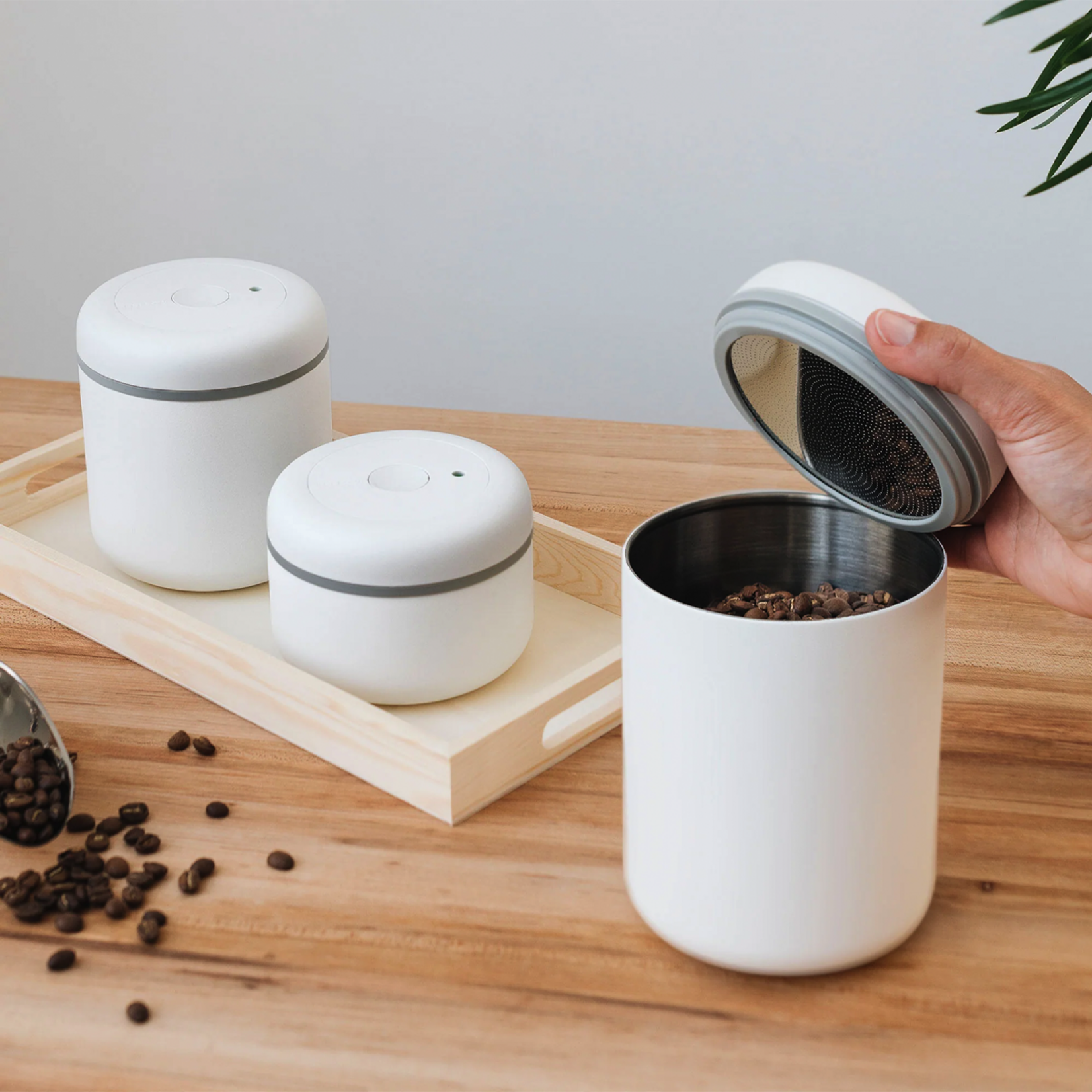 FELLOW FELLOW Atmos Vacuum Canister (0.4L) - Matte White