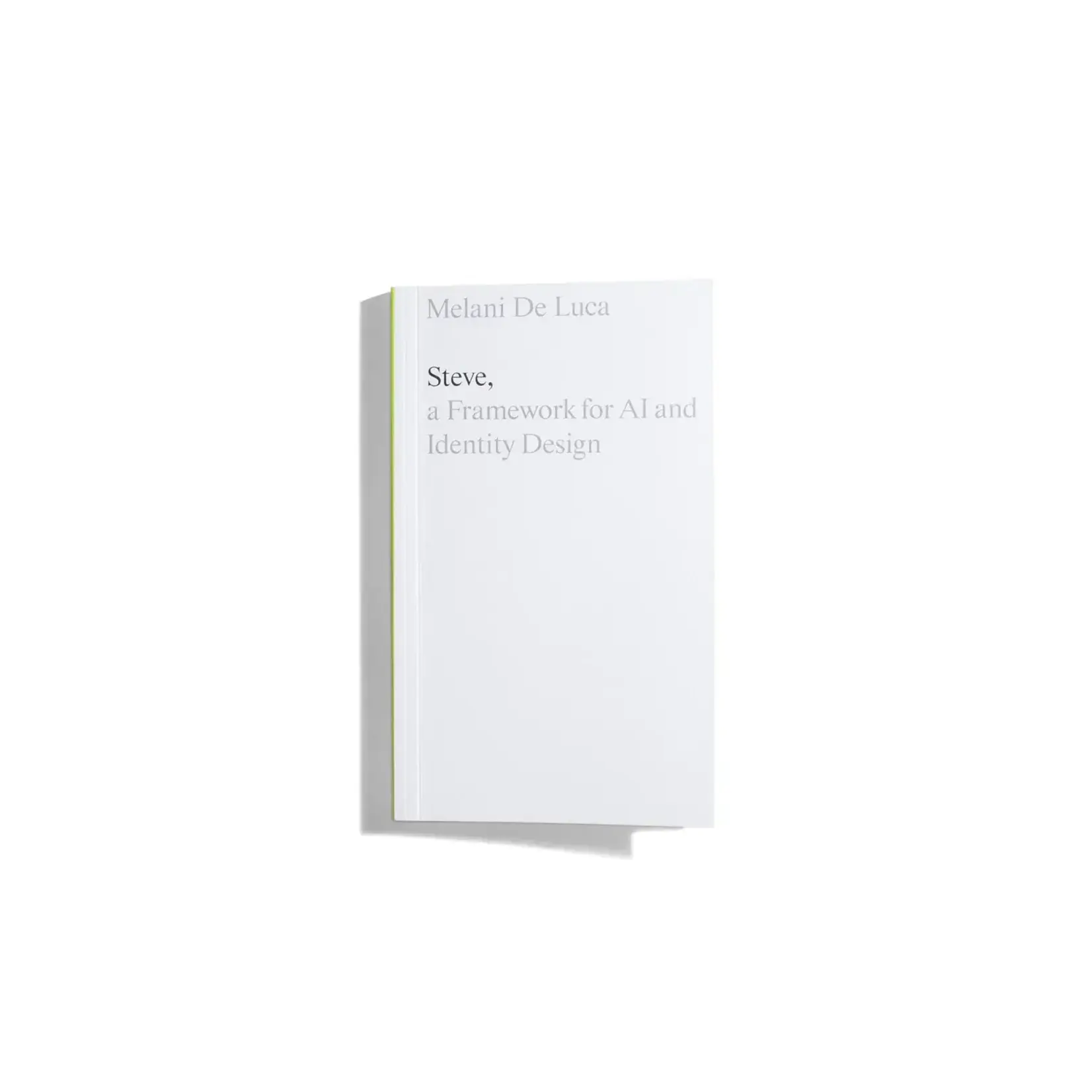 Set Margins’ Publications Steve: A Framework for AI and Identity Design
