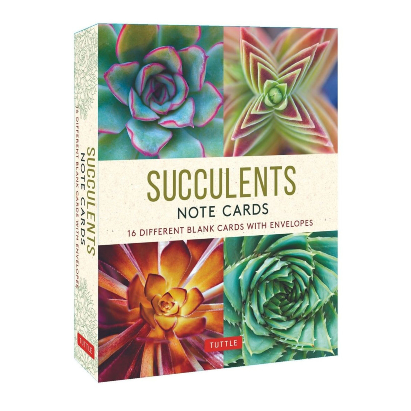 Succulents, 16 Note Cards