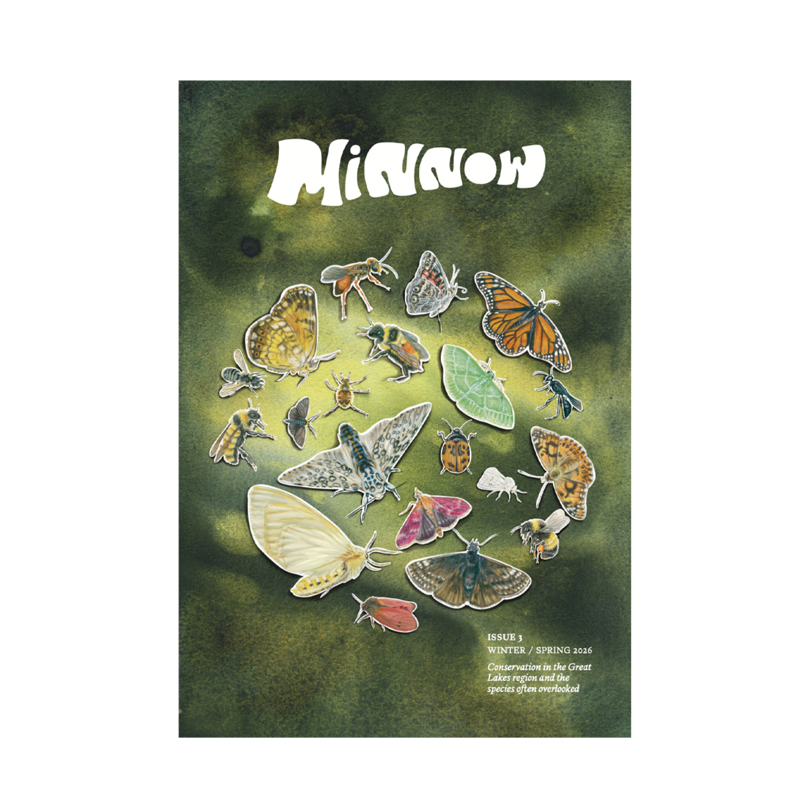 Minnow Magazine Issue 3 - Winter/Spring 2026