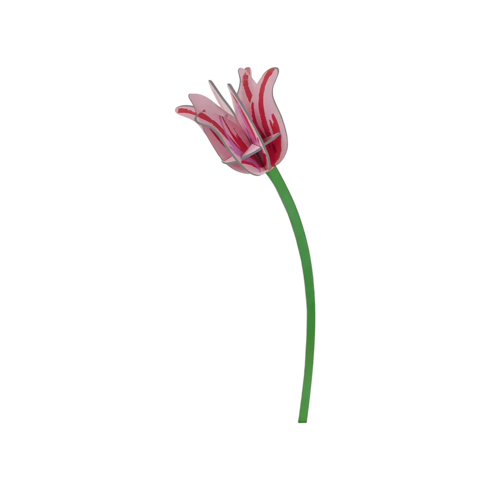 Studio Roof Studio Roof Everlasting Flowers - Pink Tulip