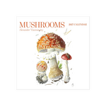 Mushrooms: Alexander Viazmensky 2027 Wall Calendar