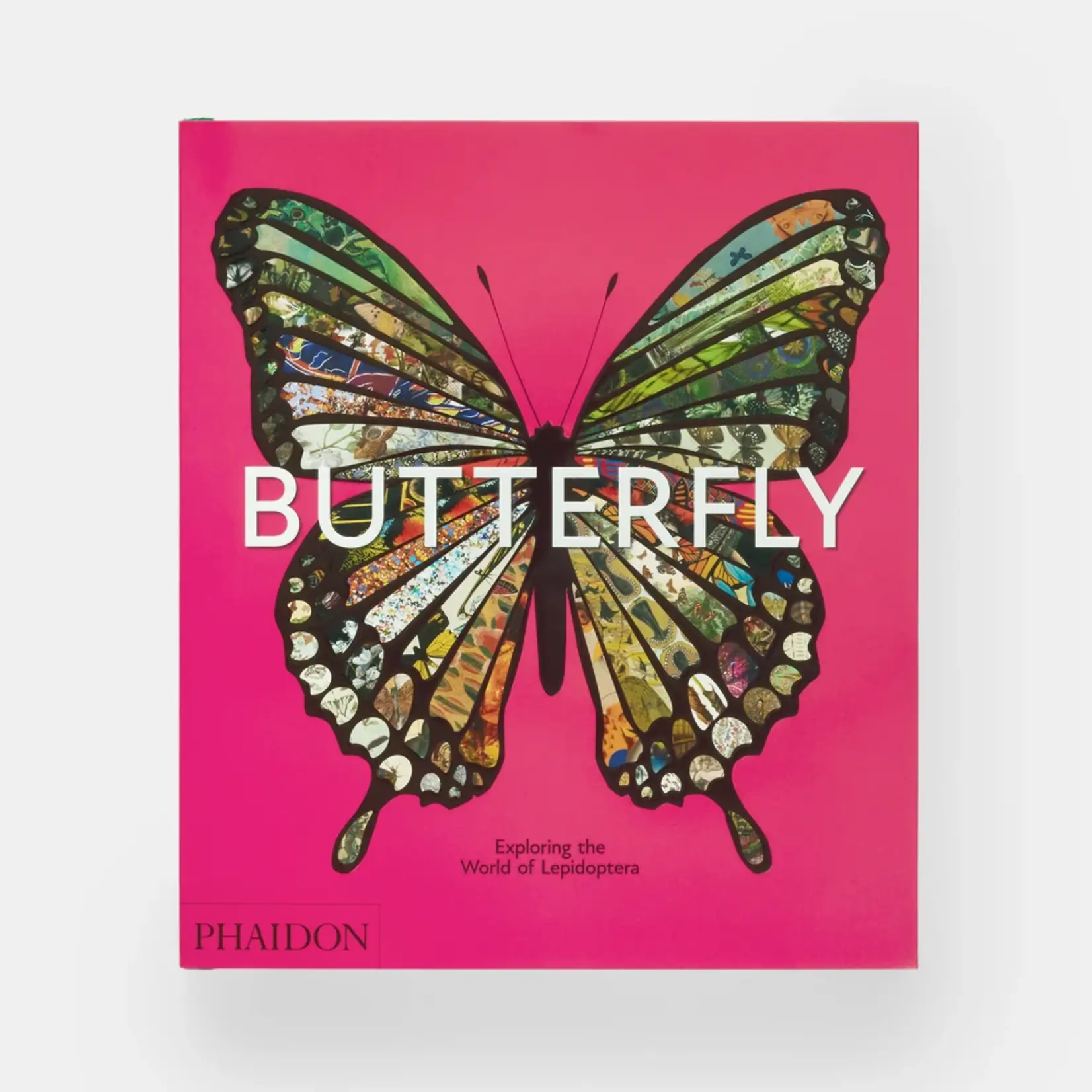 Phaidon Butterfly: Exploring the World of Lepidoptera