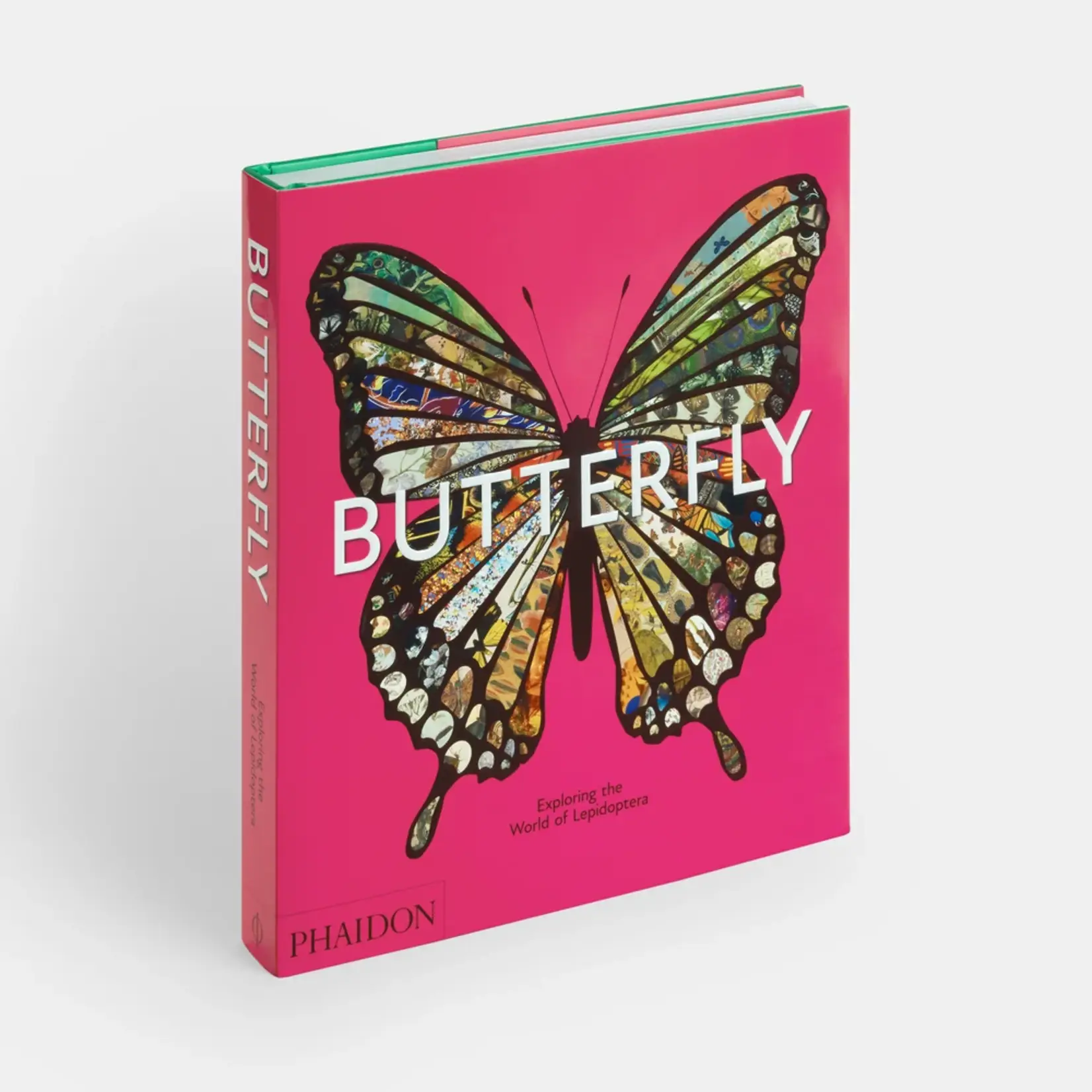 Phaidon Butterfly: Exploring the World of Lepidoptera