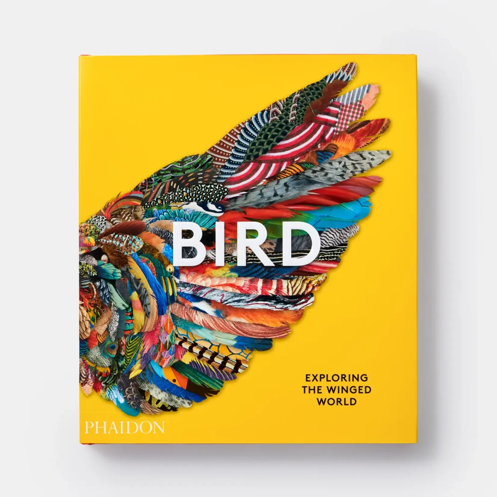 Phaidon Bird: Exploring the Winged World