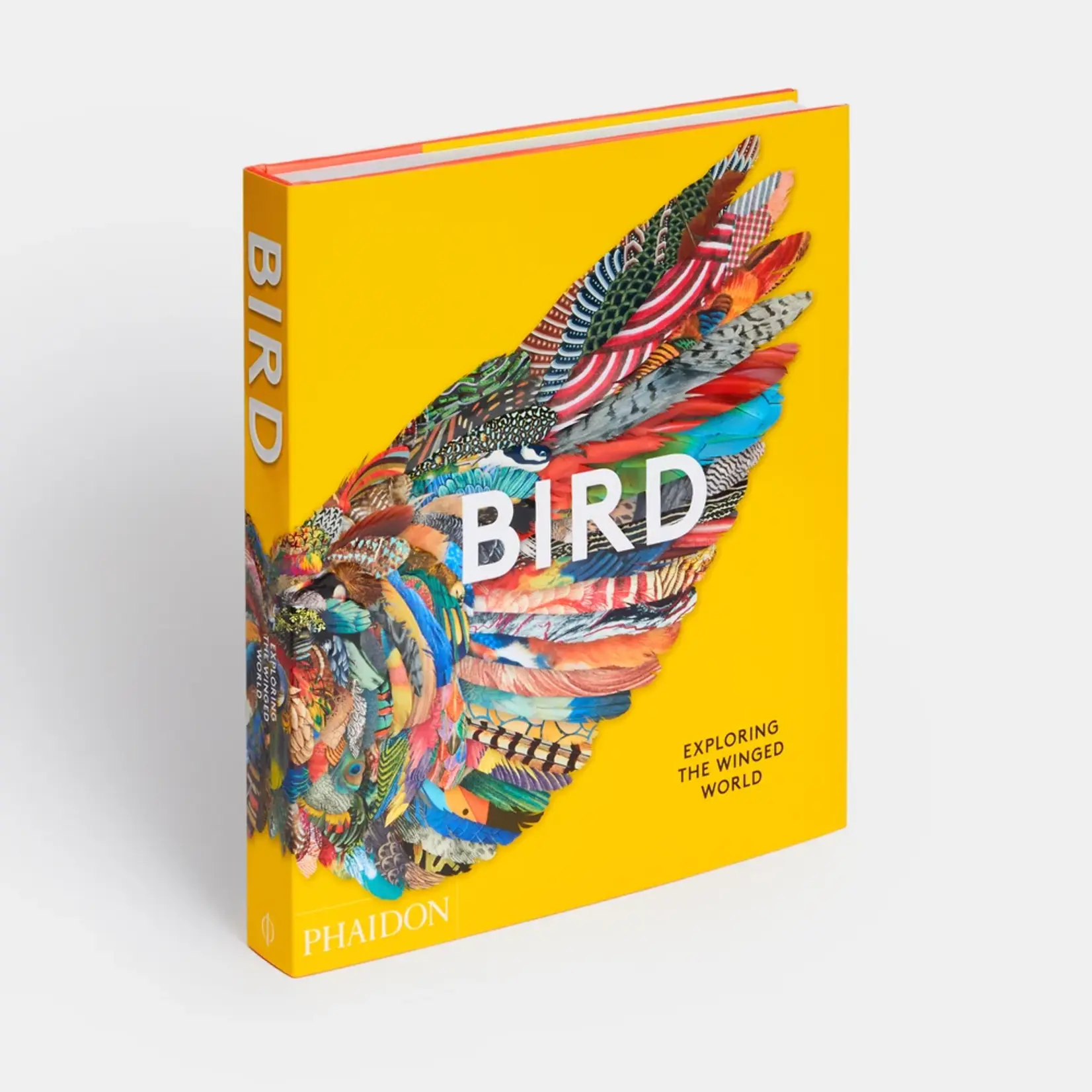 Phaidon Bird: Exploring the Winged World