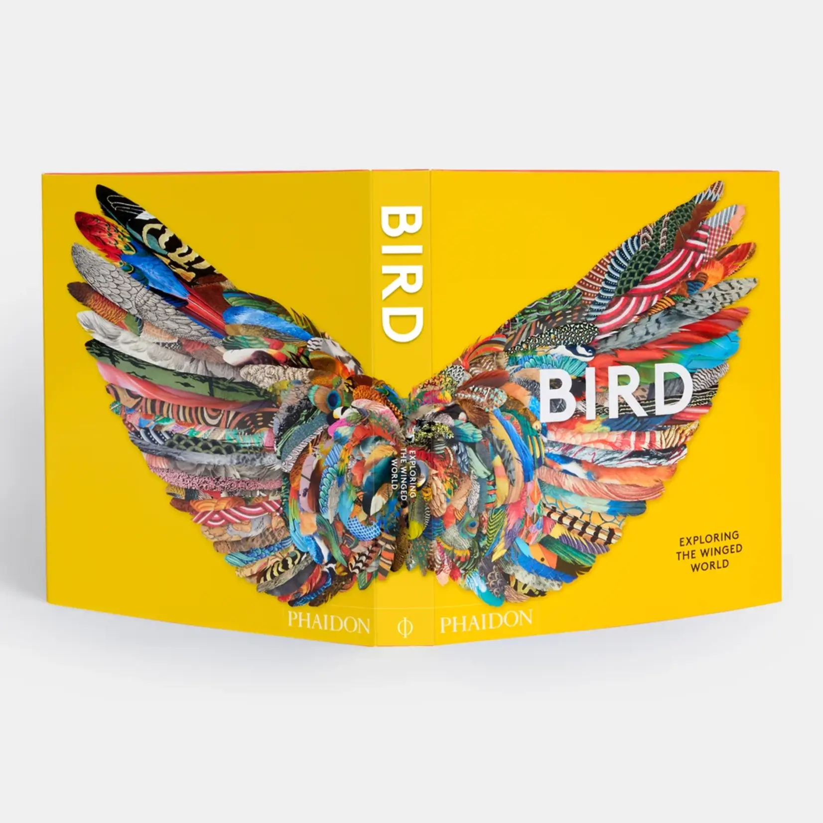 Phaidon Bird: Exploring the Winged World