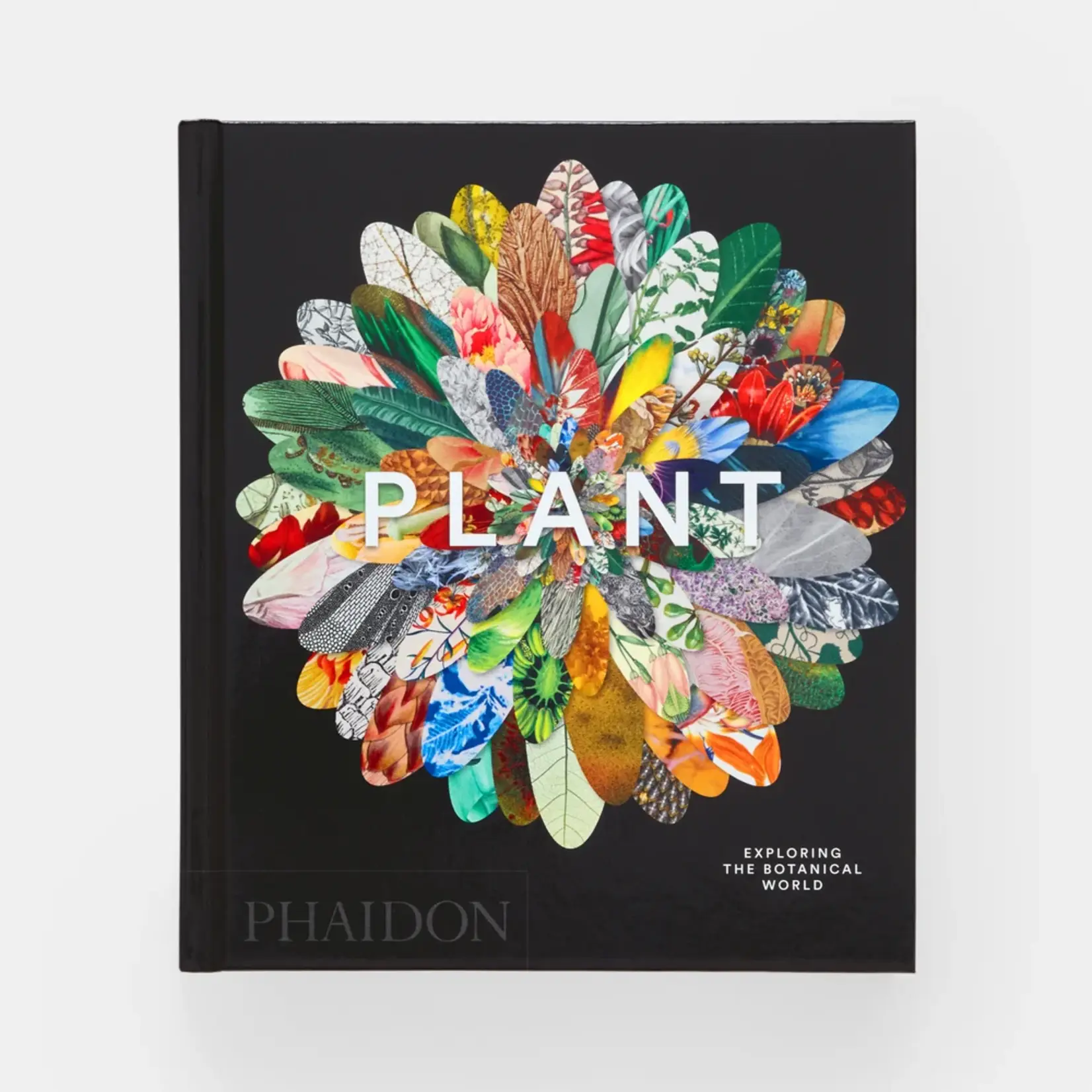 Phaidon Plant: Exploring the Botanical World