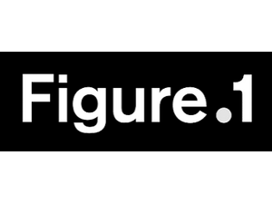 Figure 1 Publishing