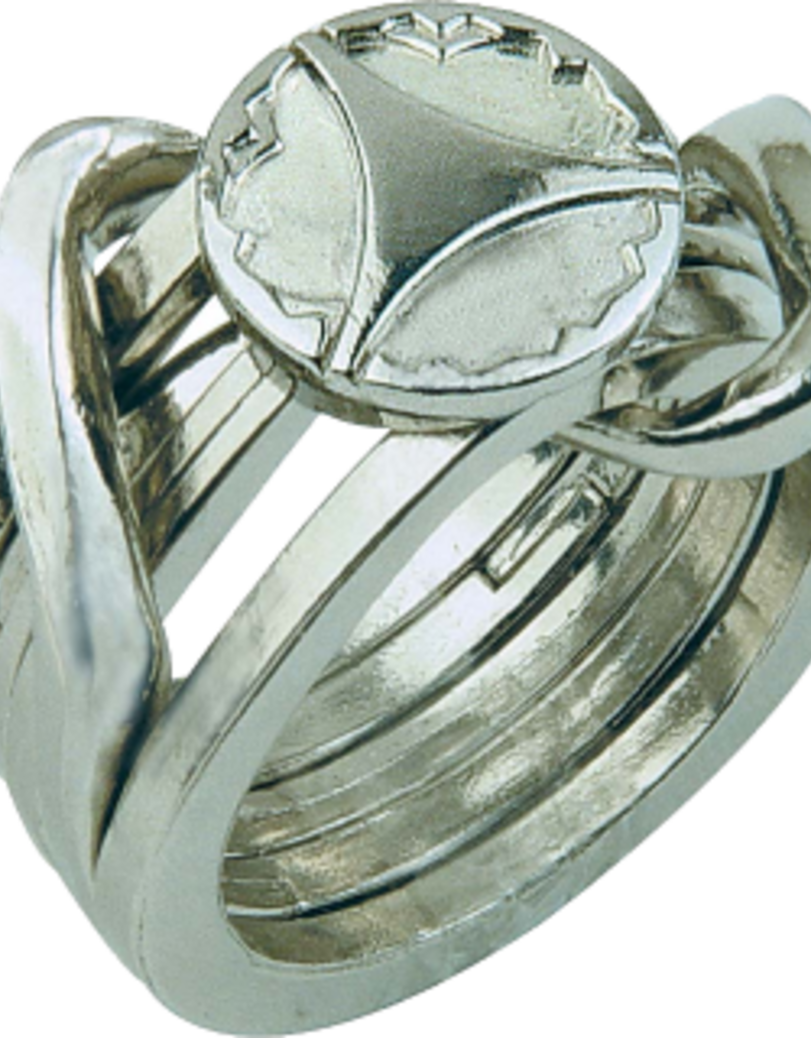 Ring 2 Puzzle - Hanayama Cast Metal Puzzle - Difficulty Level 5/6