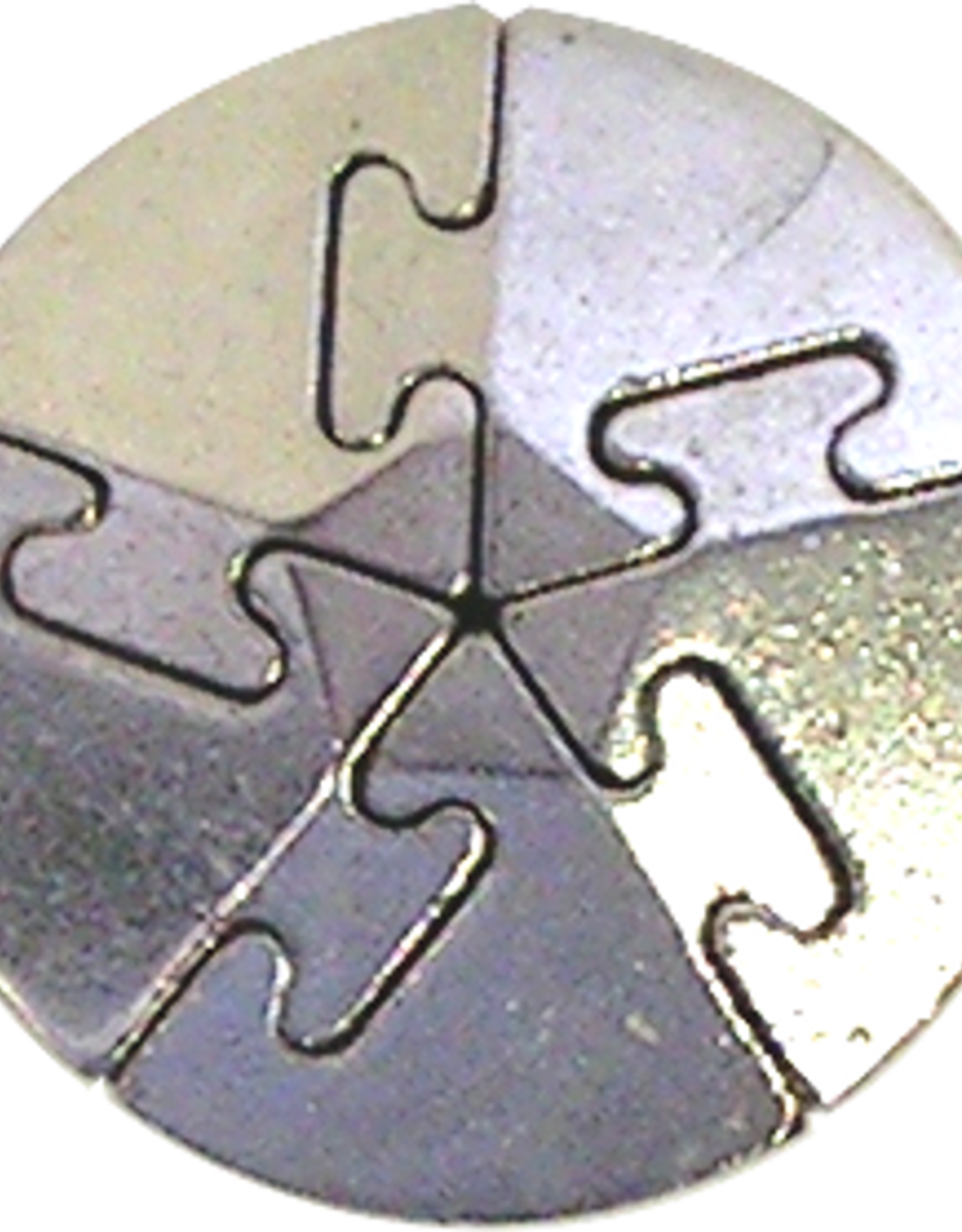 Spiral Puzzle - Hanayama Cast Metal Puzzle - Difficulty Level 5/6
