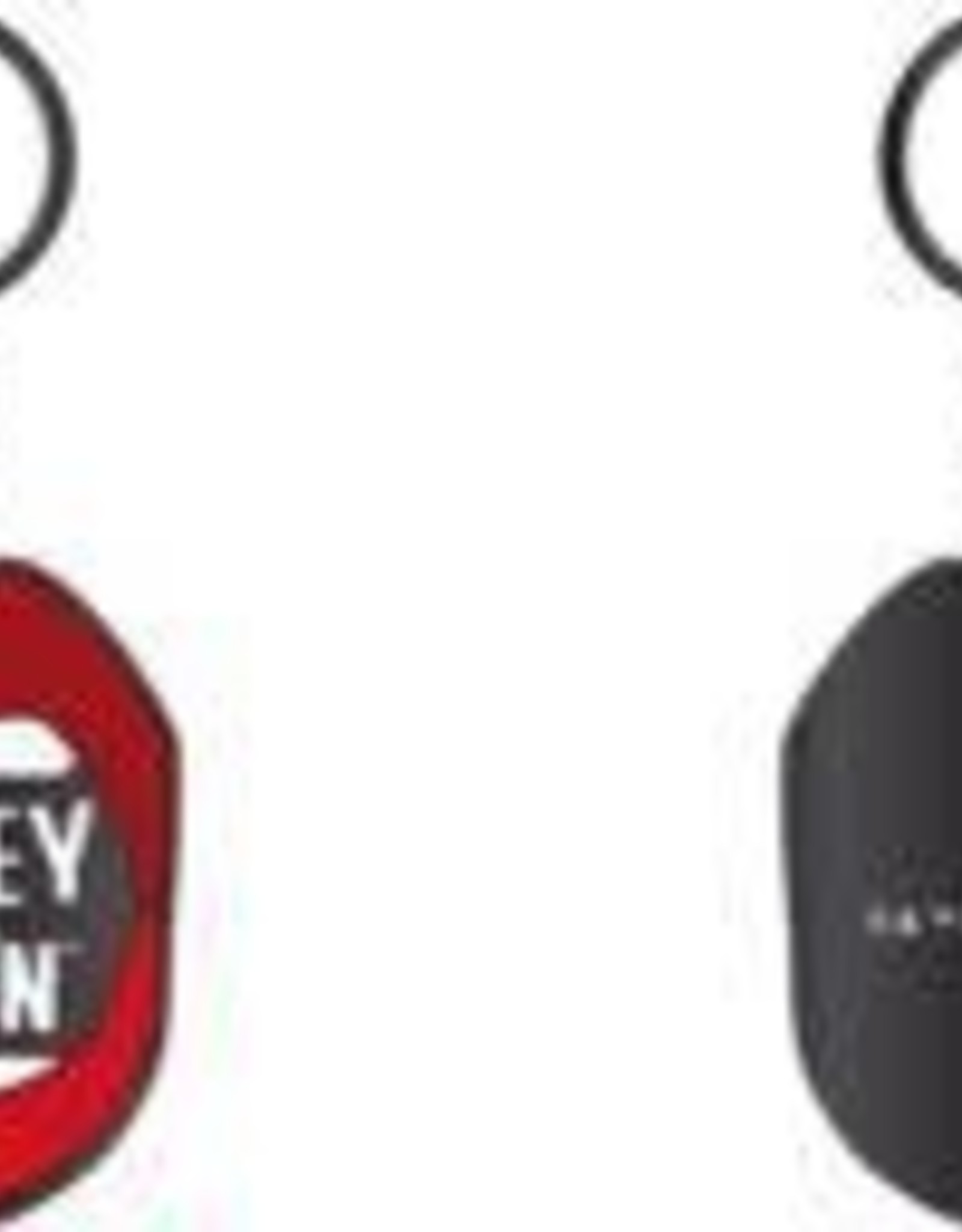 SUICIDE SQUAD - Team Shot Keychain