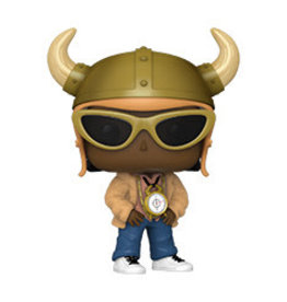 SALE - POP MUSIC FLAVOR FLAV