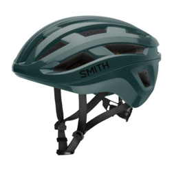 Smith Persist MIPS
