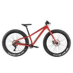 Louis Garneau Big Will Fat bike junior 26"