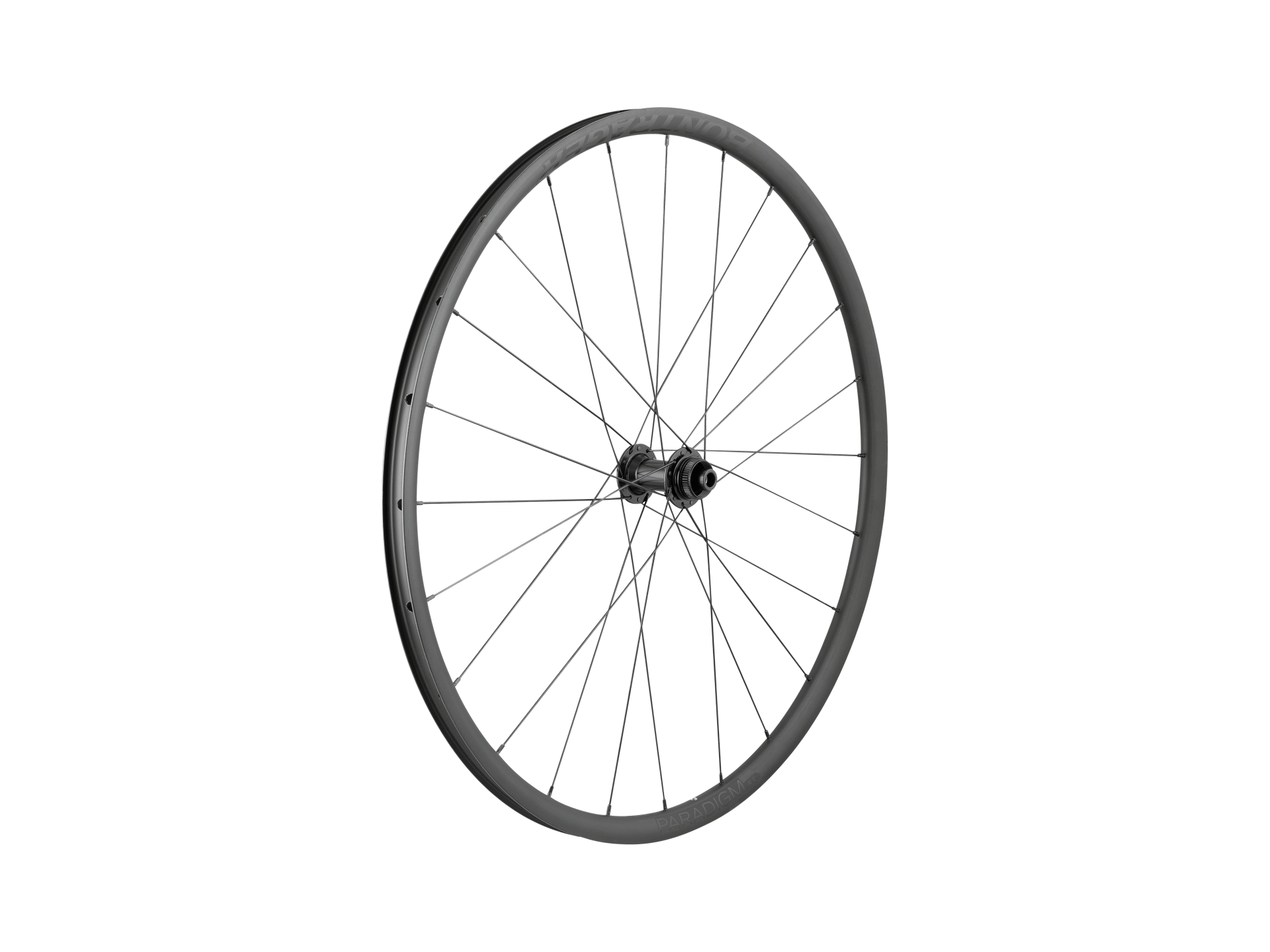 Bontrager Roue Paradigm SL Centerlock Disc 24H Silver Nipples 700c