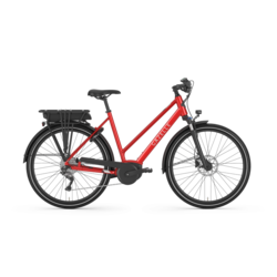 Gazelle Royal Dutch Medeo T9