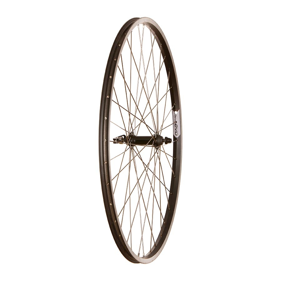 Roue Avant 700C 622 Trous 36 QR 100mm freins Sur jante Wheel Shop Evo Tour 20 Studio Velo
