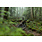 Studio Vélo Location MTB à assistance électrique