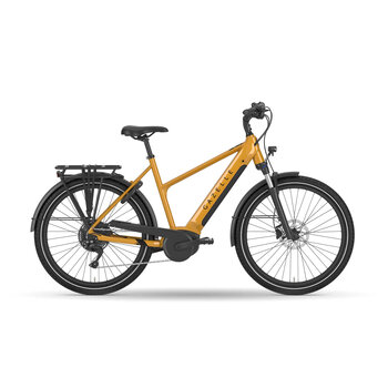 Gazelle Royal Dutch Medeo T10 City Smart