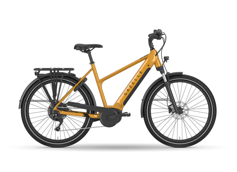 Gazelle Royal Dutch Medeo T10 City Smart