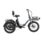 REID Bike Tricycle Électrique eTrike Gris