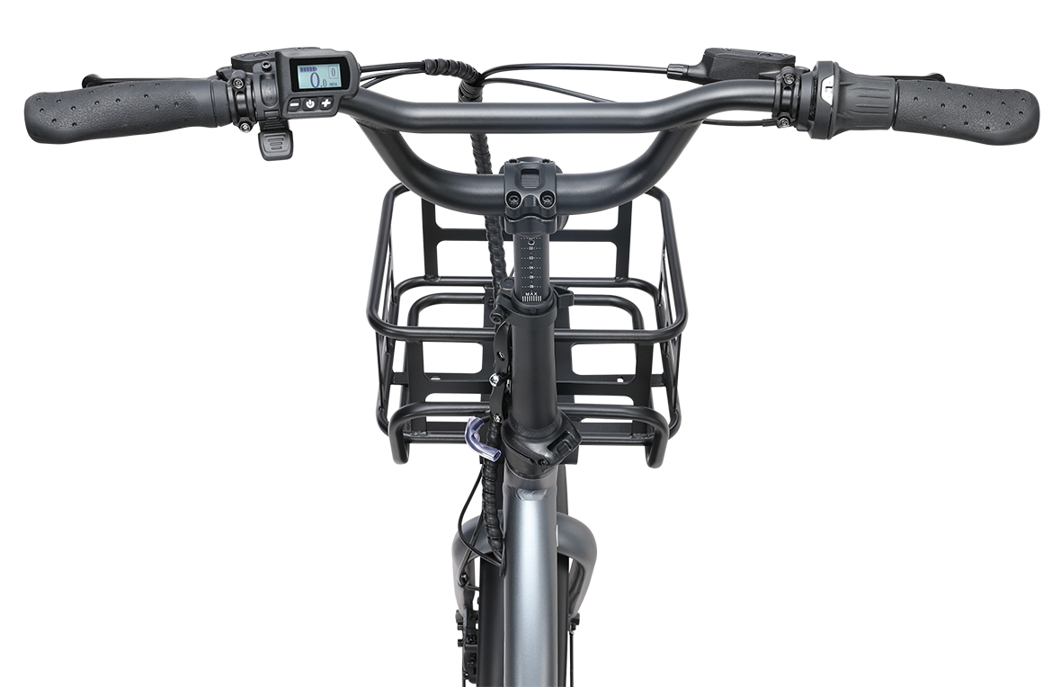 REID Bike Tricycle Électrique eTrike Gris