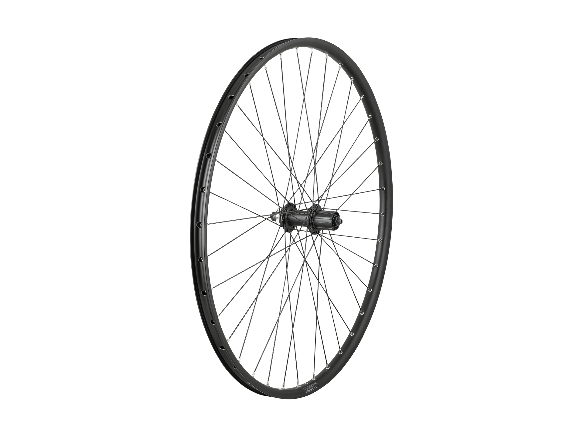 Roue 700c Jante Alex DP23/TX505 Moyeu Shimano Quick release