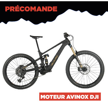 Velduro Rogue R