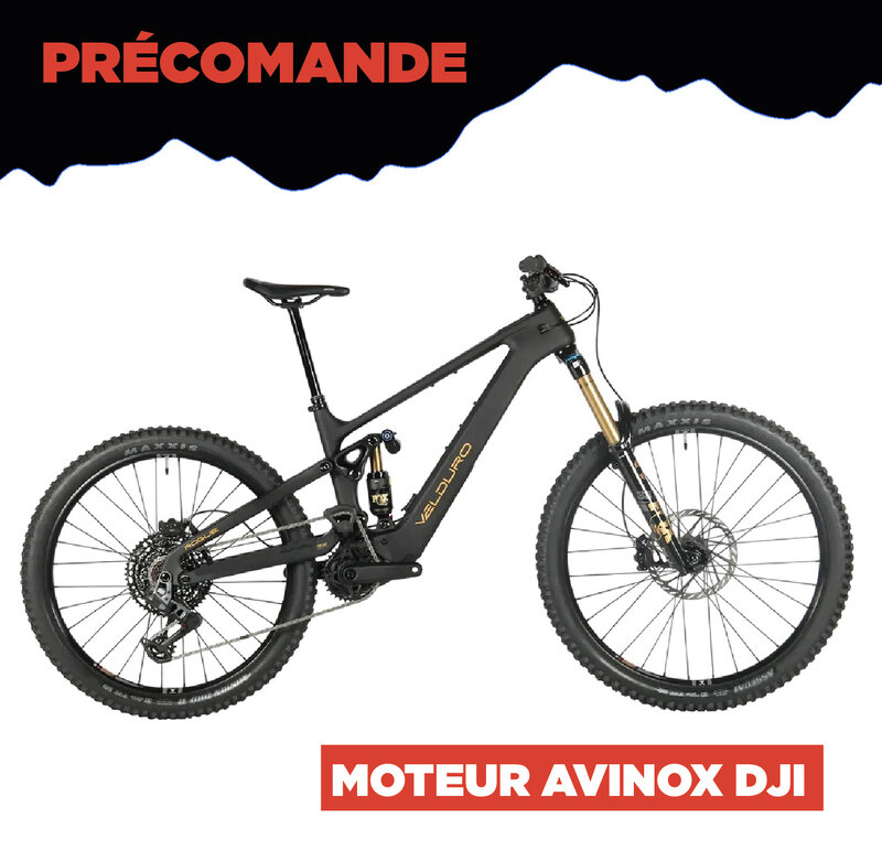 Rogue R - Studio Vélo